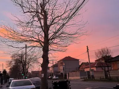 Кметство Пирне
