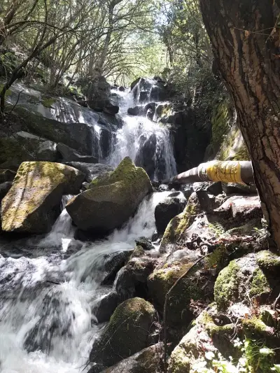 Водопад / Waterfall