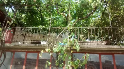 Стадион „КЛЕТКАТА“