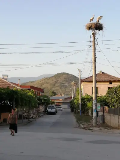 Кафене