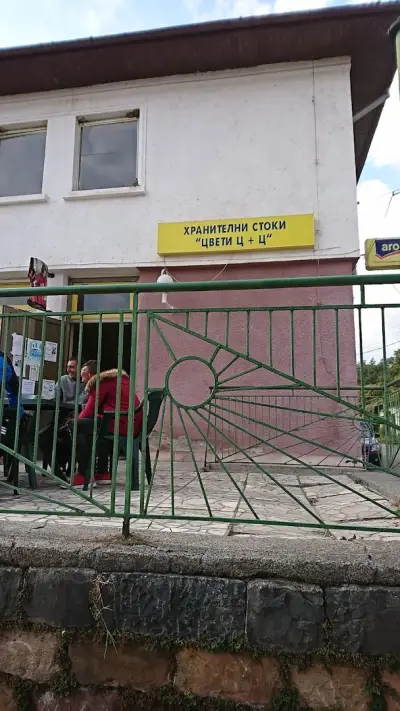 Цвети Ц+Ц