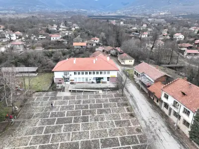 Цвети Ц+Ц