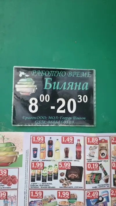 Биляна