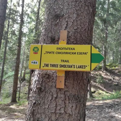 Лирата на Орфей