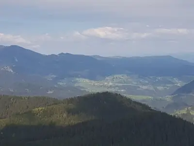 Лирата на Орфей