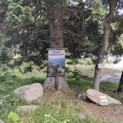 Лирата на Орфей