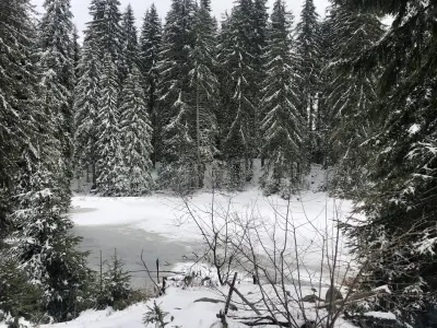 Лирата на Орфей