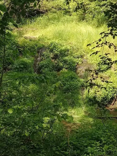 Водопади Старо Стефаново