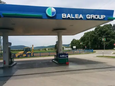 Панацея