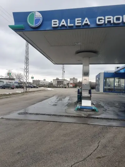 Панацея
