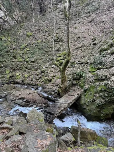 Лешнишки водопад