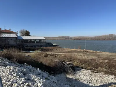 dm България