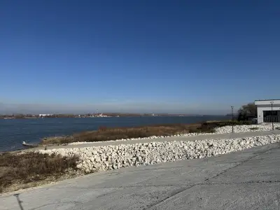 dm България