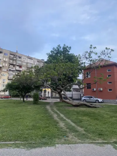 Парк “Владикина Бахча”
