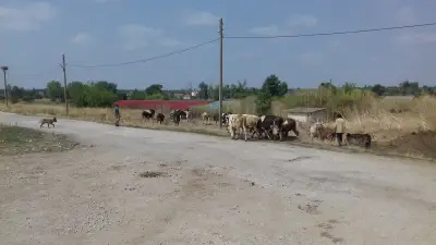 Ловен дом