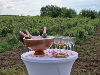 Градини с Маслодайна Роза