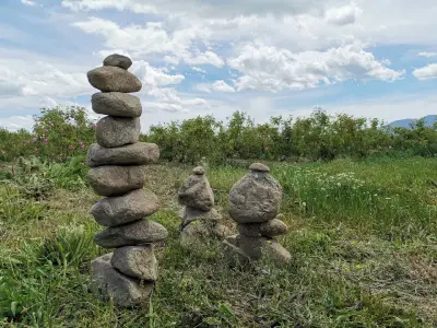 Градини с Маслодайна Роза