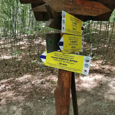 Водните дупки