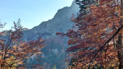 Водните дупки