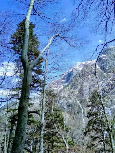 Водните дупки