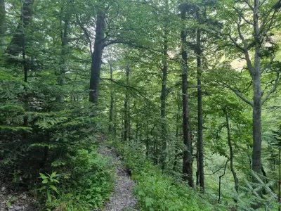 Водните дупки