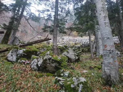 Водните дупки