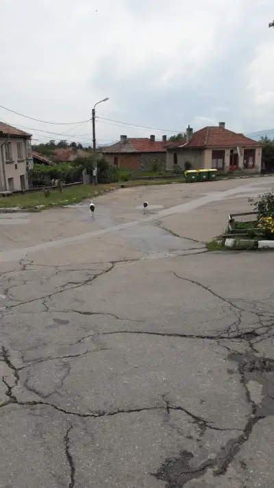 Ресторант „Градина“