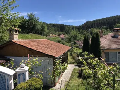 Gologanova house