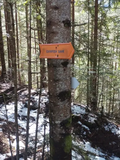 Езеро Паничище