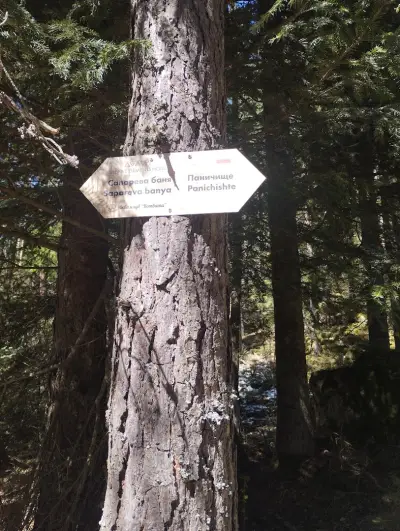 Езеро Паничище