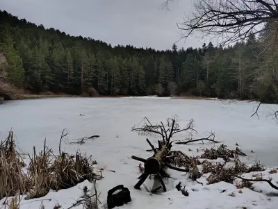 Езеро Паничище