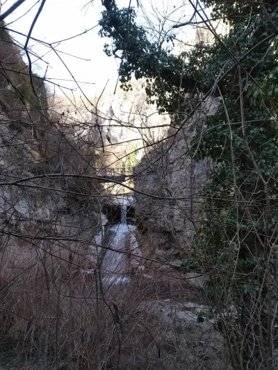 Пейката на Любовта