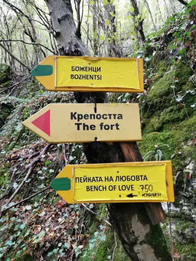 Пейката на Любовта