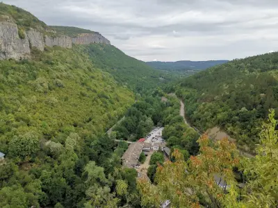 Пейката на Любовта