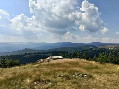 Пашови скали