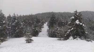 Пашови скали