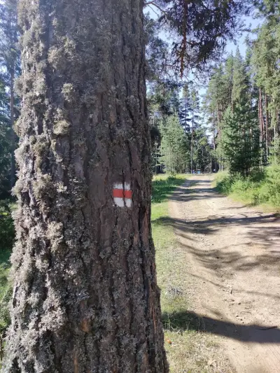 Пашови скали