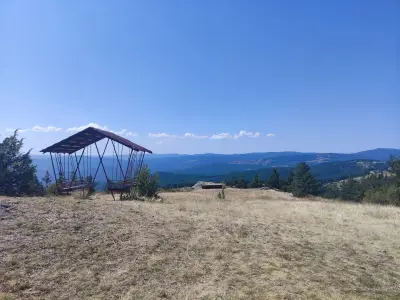 Пашови скали