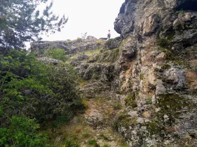 Пашови скали