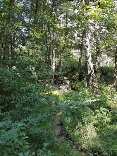Старият Чарк