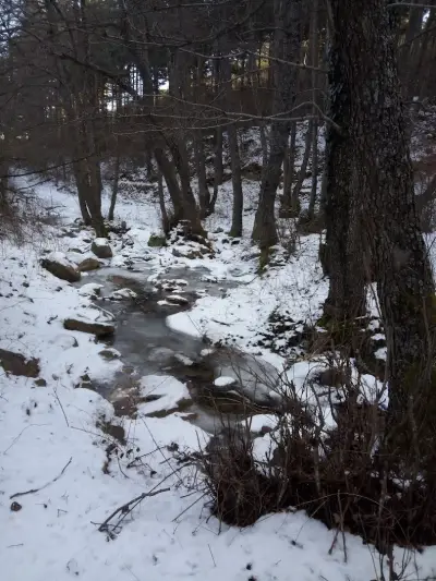 Старият Чарк