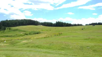 кафе Авеню