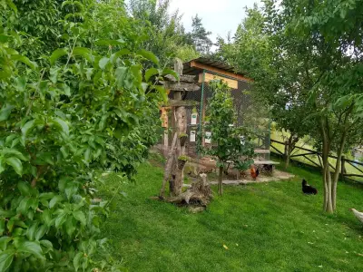 Бърдоландия
