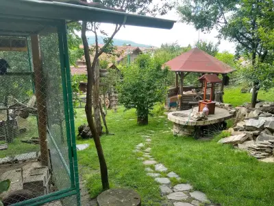Бърдоландия