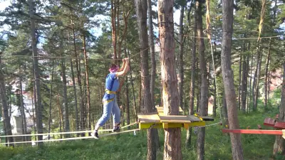 Бърдоландия