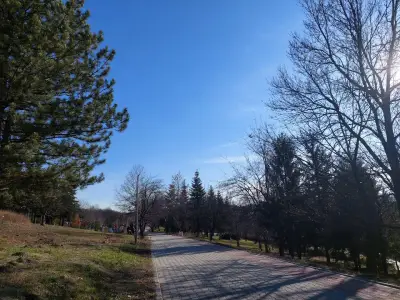 🌱Източен парк