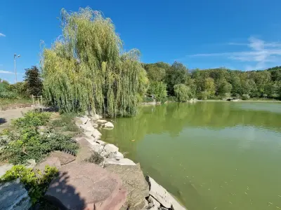 Езеро „Борово око“