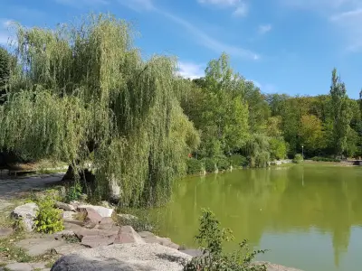Езеро „Борово око“