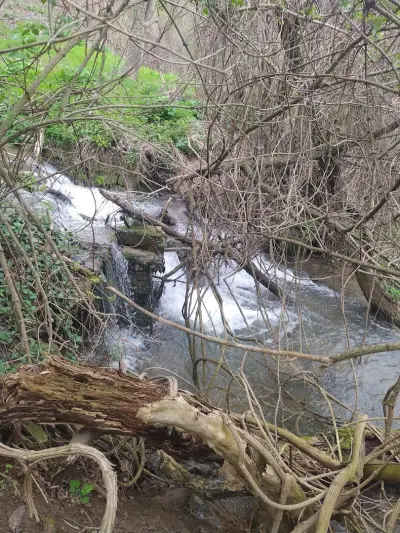 Водопад Боаза