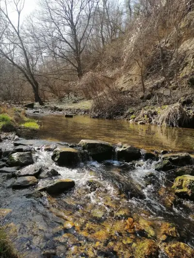 Водопад Боаза